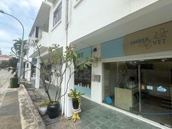 Frankel Estate (D15), Shop House #633260641